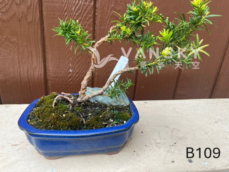 260224235317_B109 30 - 25-08.JPG